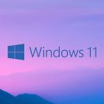 Windows 11 Pro with MS Office 2021 Pro Plus